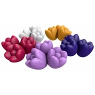 Windmill Valley Tulips