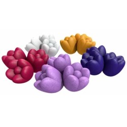 Windmill Valley Tulips